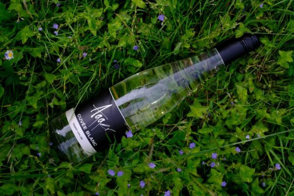Agger Cuvée Blanc - dansk hvidvin