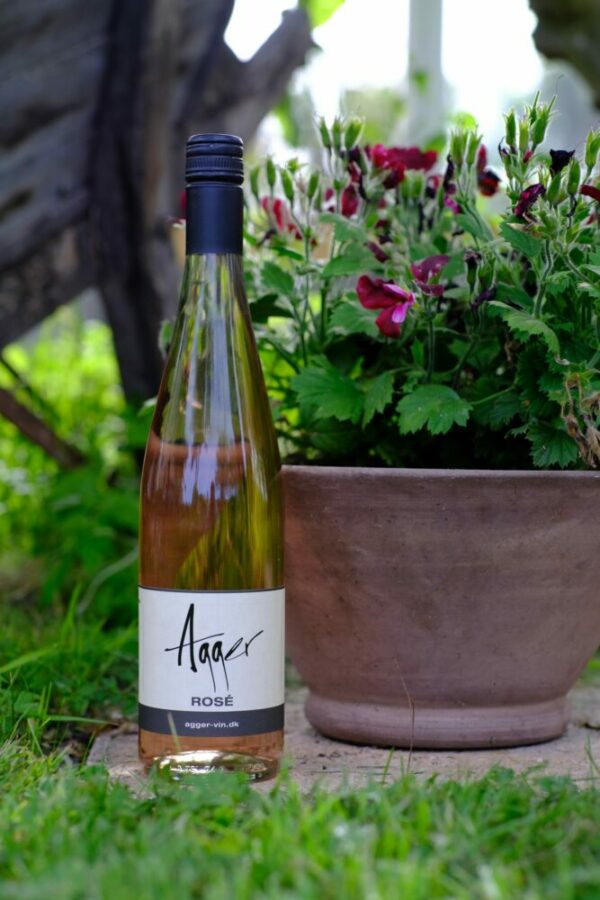 Agger Vin dansk rosé 2022