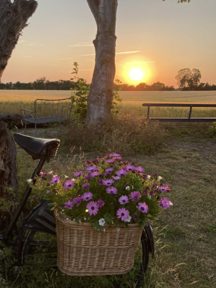 Solnedgang på Sydfyn