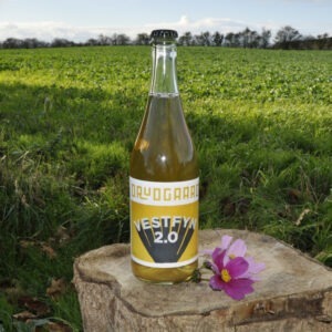 Drudgaard Vestfyn 2.0 (Cider)